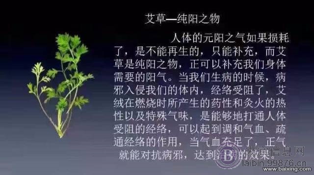 代理艾艾贴,到底有哪些好处?